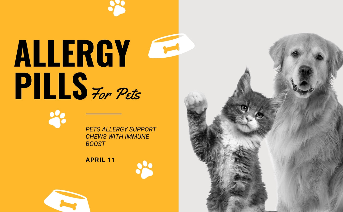 Pet Allergy Pills – Promotes Healthy Skin, Digestion & Immune Support – Made with Natural Ingredients, Digestive Health for Pets