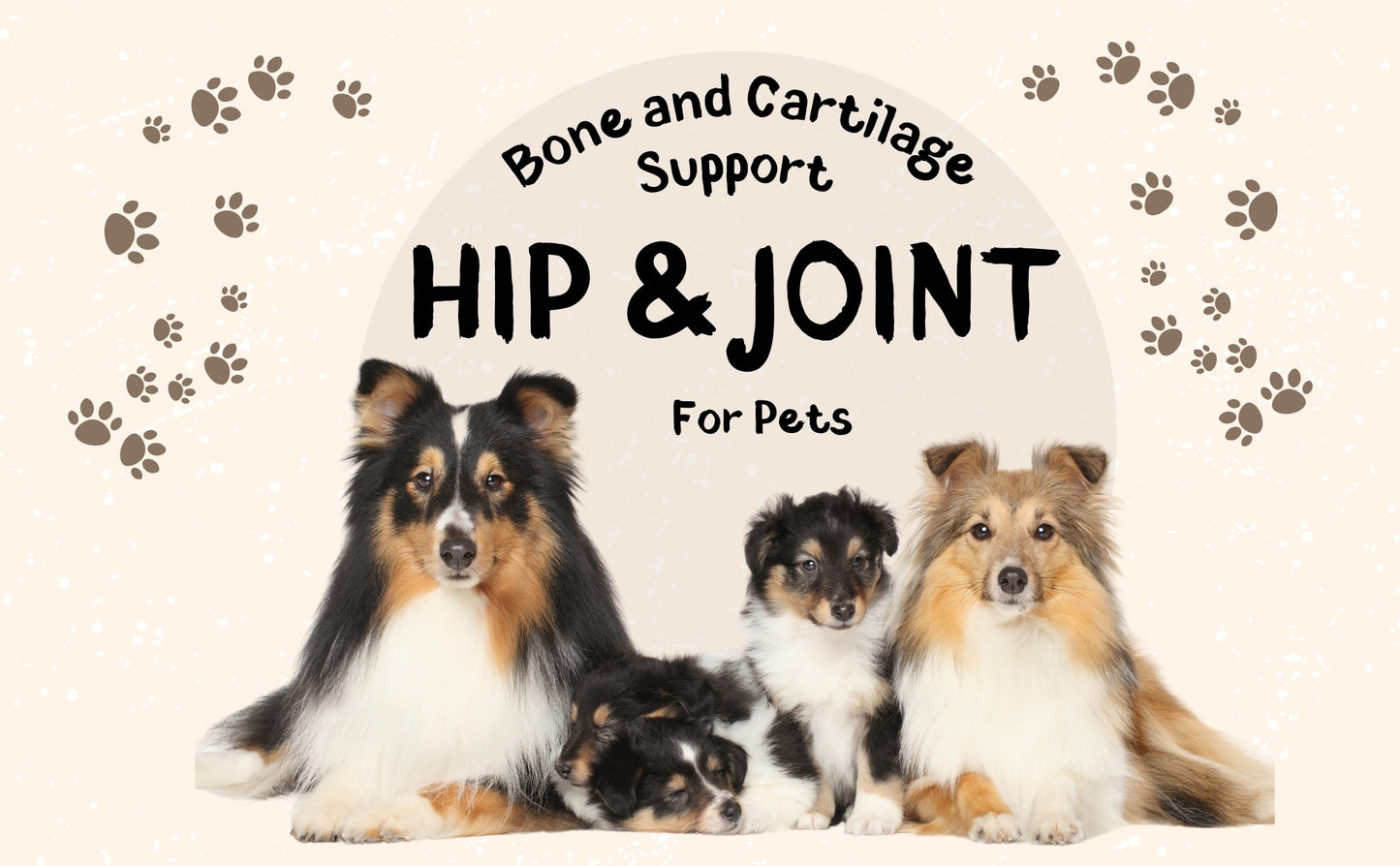Hip & Joint Supplement for Dogs, Dog Joint Support Supplement with MSM, Glucosamine - 100 Chewable Tablets