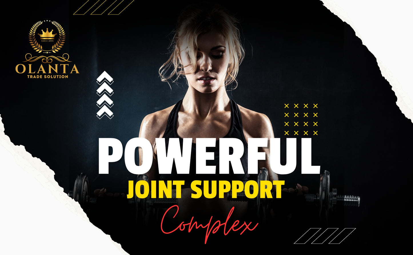 JOINT MATRIX PRO - Chondroitin MSM, Joint support, Knees & Hands, Occasional Discomfort Relief for Back, Glucosamine, Muscle Recovery - 90 Tablets