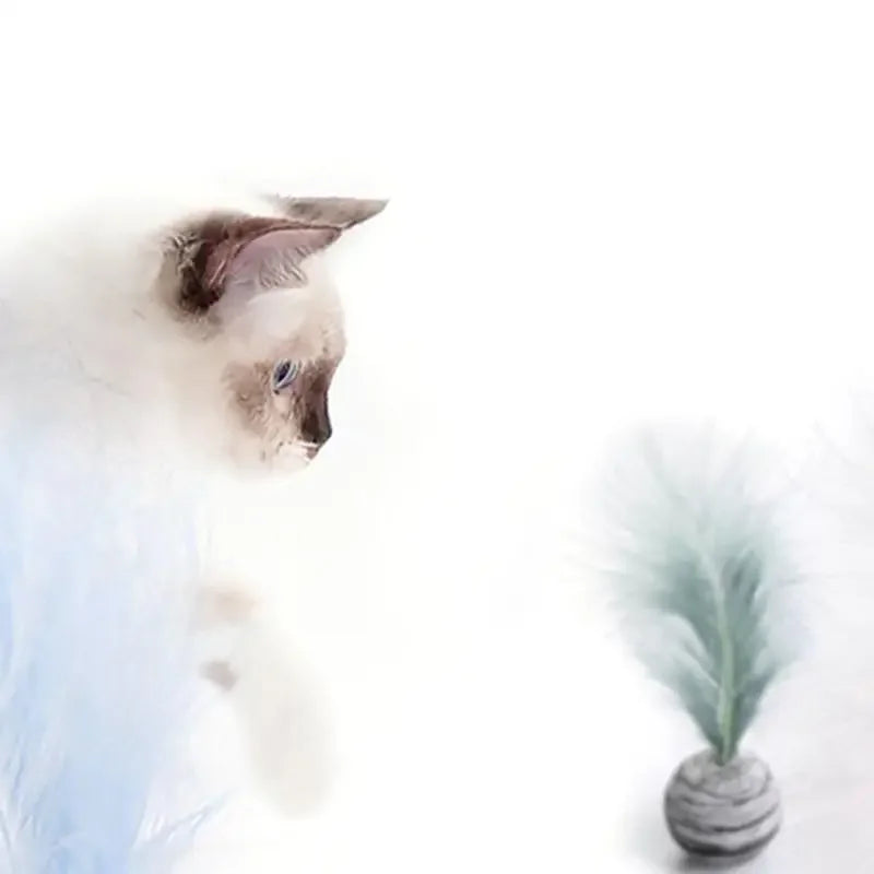Cat Toy Star Ball Plus Feather Toy Material Light Foam Ball Throwing Toys For Cats , Pet Supplies , Pets Accessories ,