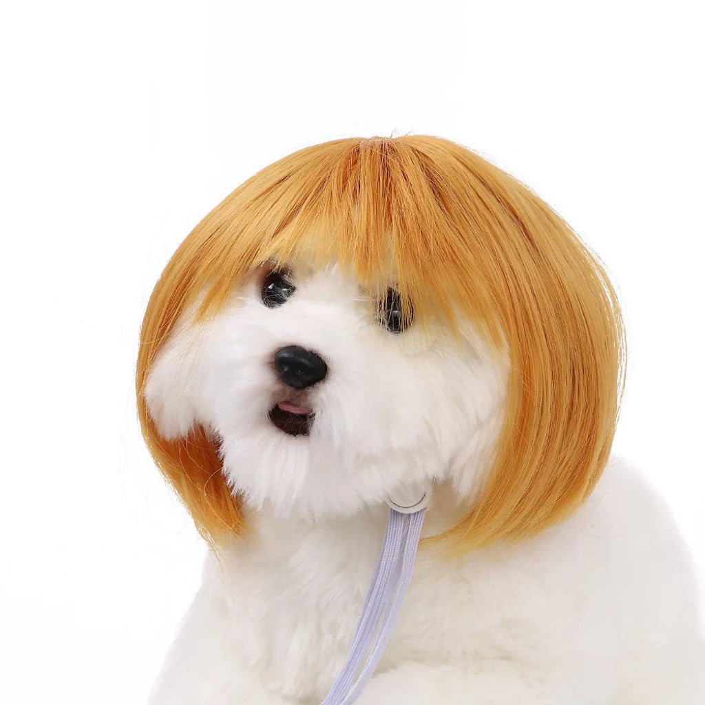 1pc Pet wig DIY hairstyle Cat and dog headgear Pet accessories Festival decoration Headscarf Short style straight bangs wig
