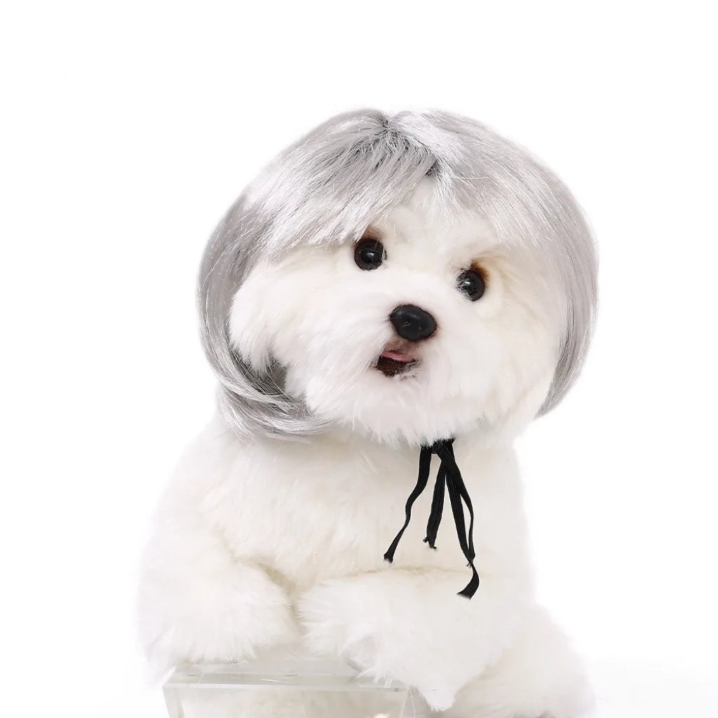 1pc Pet wig DIY hairstyle Cat and dog headgear Pet accessories Festival decoration Headscarf Short style straight bangs wig