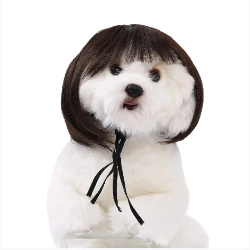 1pc Pet wig DIY hairstyle Cat and dog headgear Pet accessories Festival decoration Headscarf Short style straight bangs wig