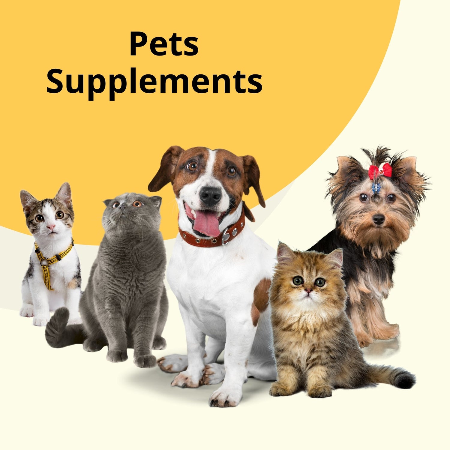 Pet Supplements