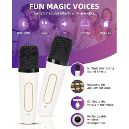 High Power Karaoke Bluetooth Speaker Portable 360 Stereo Surround Waterproof Wireless Subwoofer with 2 Mic Boombox music player 