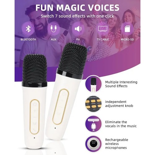 High Power Karaoke Bluetooth Speaker Portable 360 Stereo Surround Waterproof Wireless Subwoofer with 2 Mic Boombox music player 