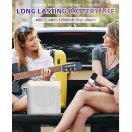 High Power Karaoke Bluetooth Speaker Portable 360 Stereo Surround Waterproof Wireless Subwoofer with 2 Mic Boombox music player 