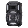 Loud Portable Bluetooth Party Speaker 12" Sub woofer Sound System karaoke Dj Rechargeable Speaker RGB Right with Mic 