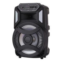 Loud Portable Bluetooth Party Speaker 12" Sub woofer Sound System karaoke Dj Rechargeable Speaker RGB Right with Mic 