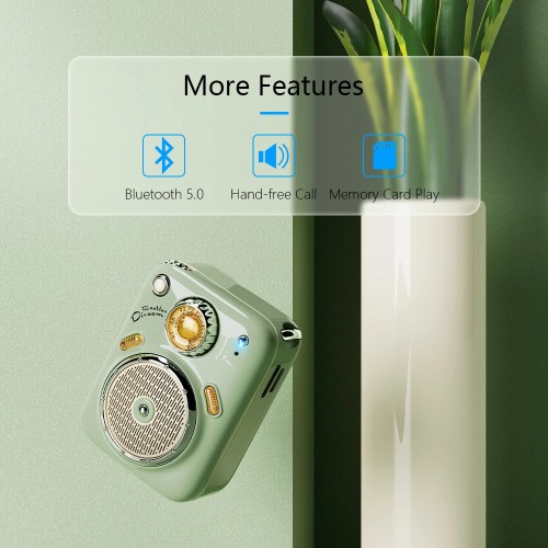Divoom B-Beetles radio speakers Bluetooth Wireless Mini portable small speakers for girls birthday presents Gift Green pink cute 
