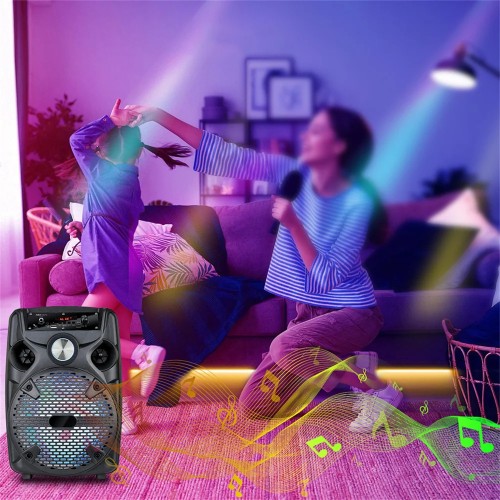1100W Portable Bluetooth Party Speaker 8" Subwoofer w/Stand Sound System Dj Karaoke RGB Light Rechargeable Speaker with Mic