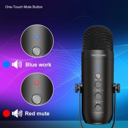 Haomuren Professional USB Streaming Podcast PC Microphone Studio Cardioid Condenser Mic Kit with Boom Arm For Recording YouTube 