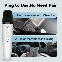 BYD & DENZA Official factory Car Microphone With Receiver, Karaoke Microphone for BYD all Models + Denza, Original sale. 