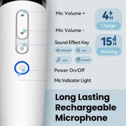 BYD & DENZA Official factory Car Microphone With Receiver, Karaoke Microphone for BYD all Models + Denza, Original sale. 