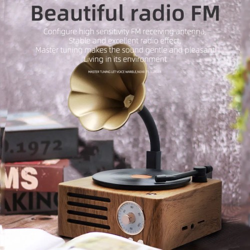 Retro Radio Portable Mini FM Radio Bluetooth Speaker MP3 Music Box Vintage Record Player with Microphone Support TFCard/AUX Play 