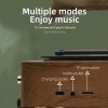 Retro Radio Portable Mini FM Radio Bluetooth Speaker MP3 Music Box Vintage Record Player with Microphone Support TFCard/AUX Play 